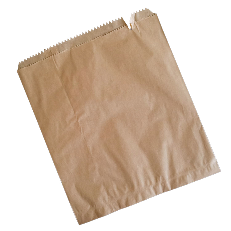 Kraft Paper Bag Twisted Handle Brown : Plasticsupermart Singapore