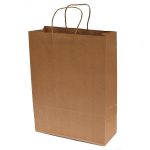 An image of a Medium Paper Takeaway Bag